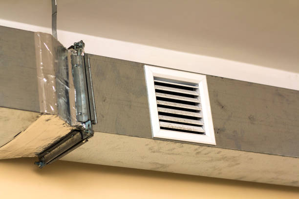 Best Dryer Vent Cleaning Services  in Hartwell, GA